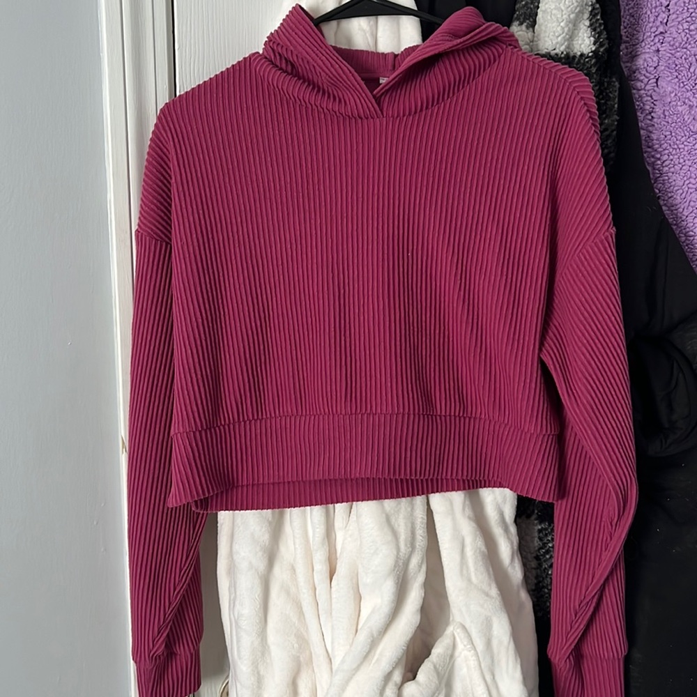 Alo Yoga Cropped Hoodie